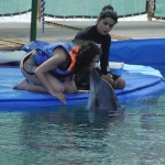 Meet the Dolphins in Marmaris