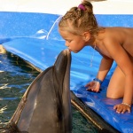 Meet the Dolphins in Marmaris