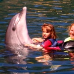 Swim with Dolphins in Marmaris