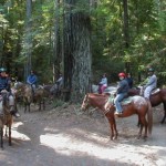 Marmaris Horse Safari