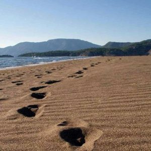 Dalyan Turtle Beach Dalyan Turtle Beach