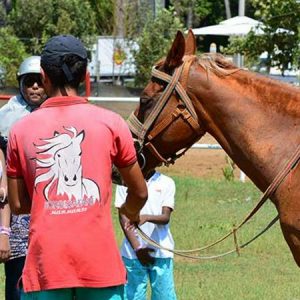 Marmaris Horse Safari