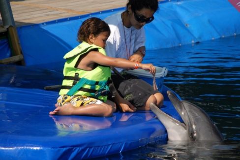 Meet the Dolphins in Marmaris