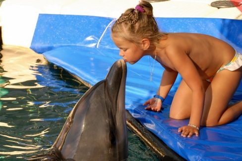 Meet the Dolphins in Marmaris