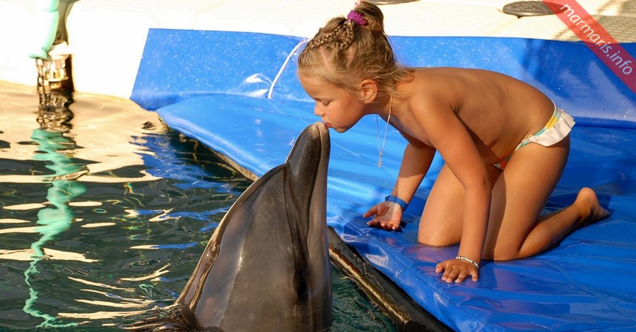 Meet the Dolphins in Marmaris