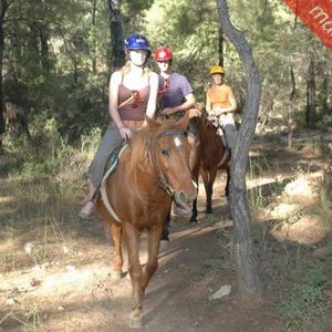 Marmaris Horse Safari