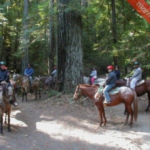 Marmaris Horse Safari