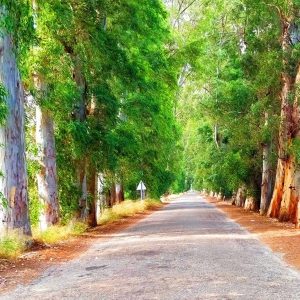 Marmaris Yuvarlakcay Tour Marmaris Yuvarlakcay Tour