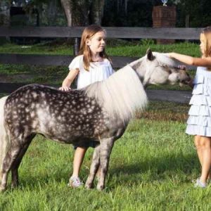 Mini Riders Pony Fun in Marmaris Mini Riders Pony Fun in Marmaris