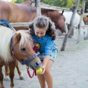 Mini Riders Pony Fun in Marmaris Mini Riders Pony Fun in Marmaris